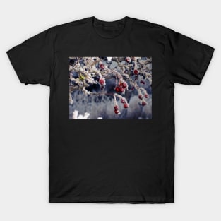 Frosted Berries T-Shirt